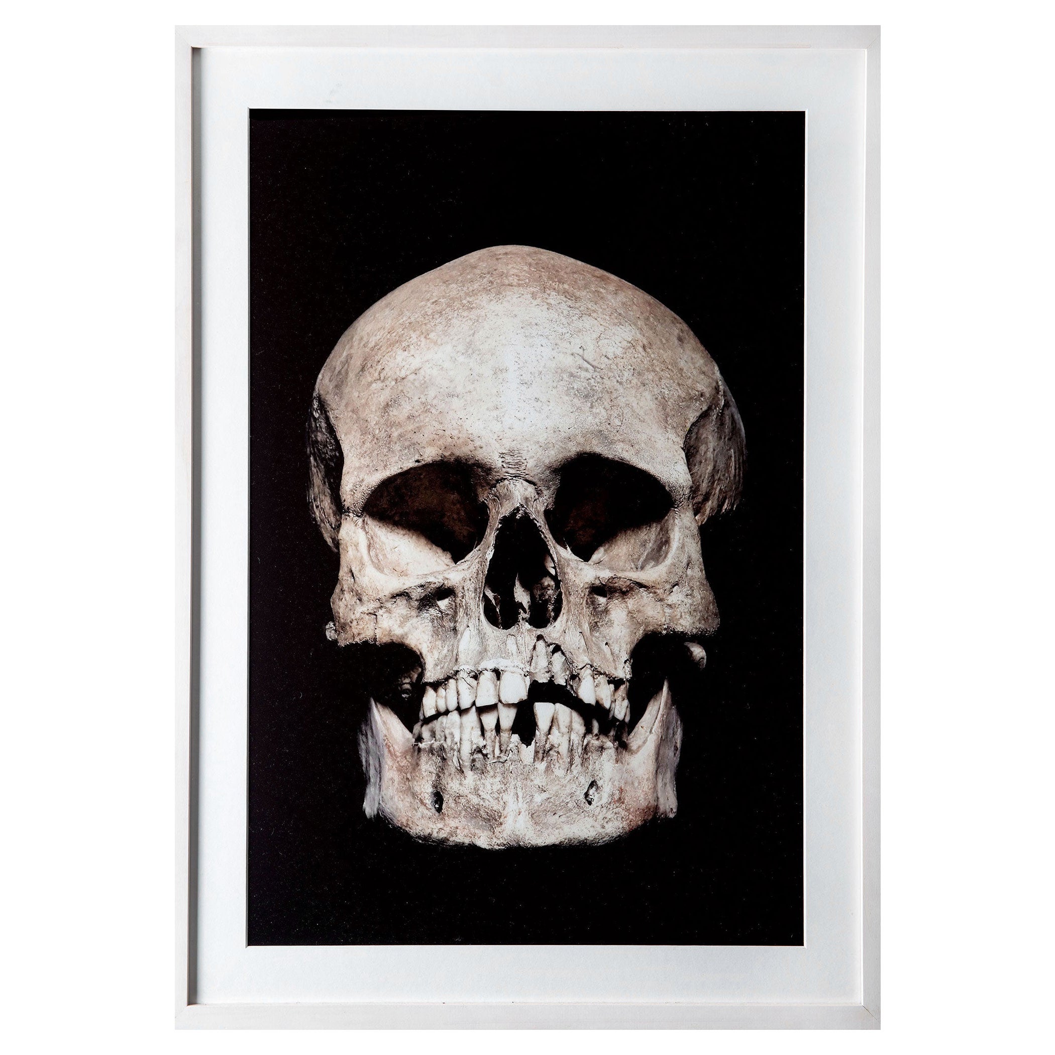 "Memento Mori" Photographic Print, Claudio Bader, 2016