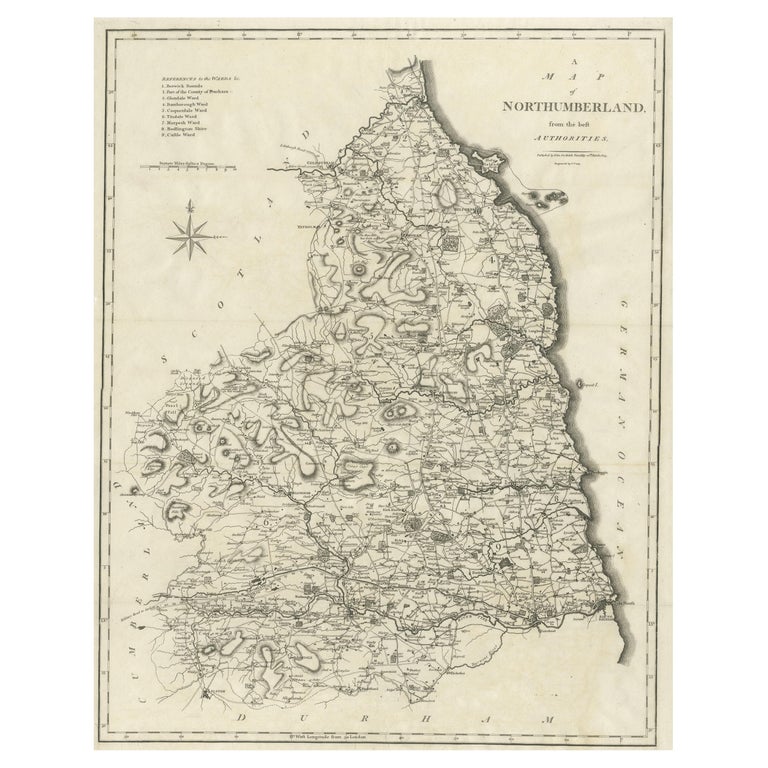 Large Antique County Map of Northumberland, England For Sale at 1stDibs