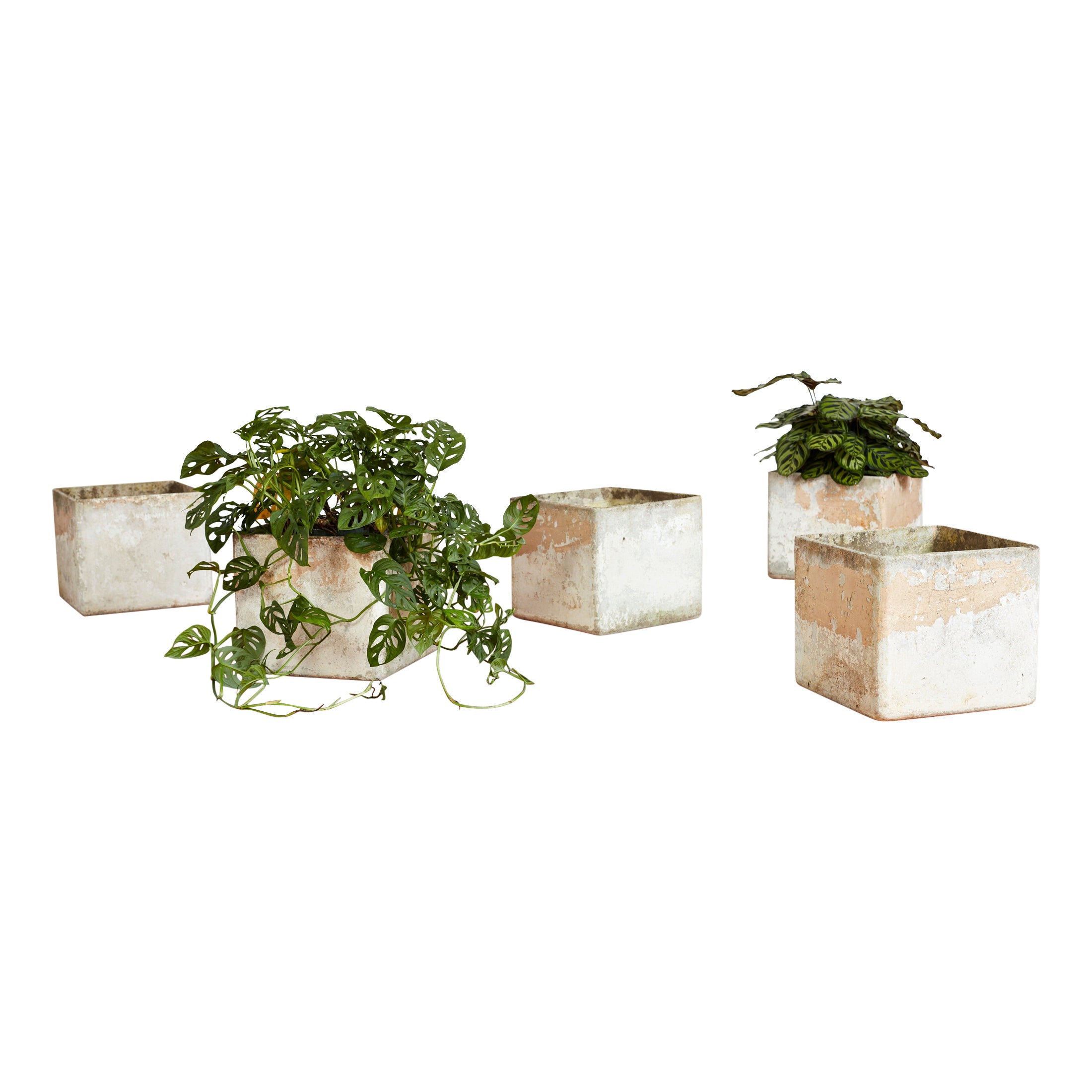 Willy Guhl Square Square Planters For Sale