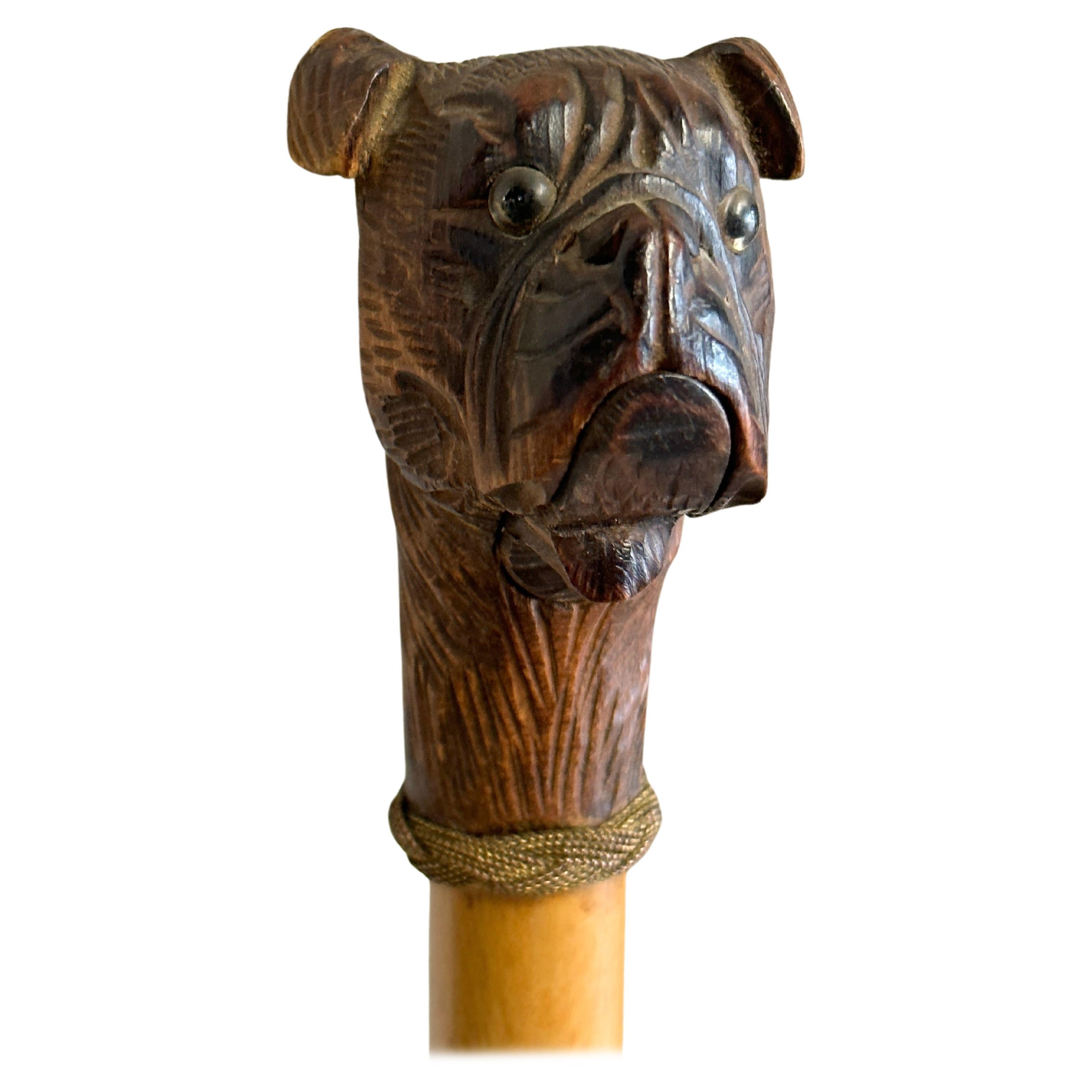 Bâton de marche ancien en bois de la Forêt Noire de Brienz sculpté représentant un chien, années 1890, Vienne