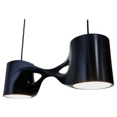 N2D Pendant Lamp by Aaron Scott
