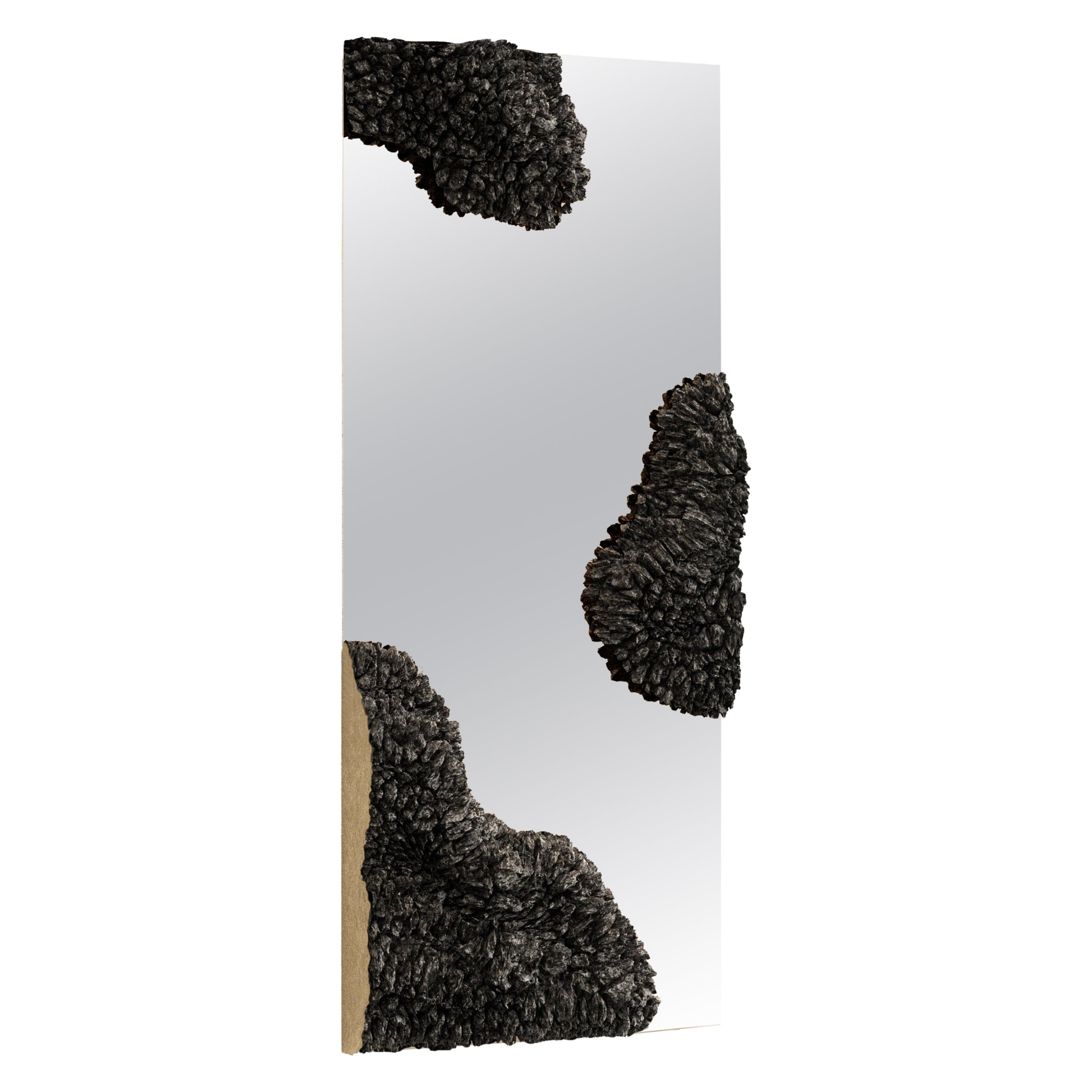 Miroir WL par Tipstudio en vente