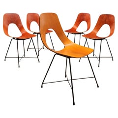 Ariston Chairs A. Bozzi for Saporiti Plywood Italy 1950s