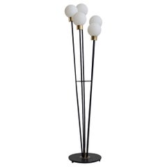 Floor Lamp with Five Opaline Glass Globes by Arlus