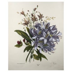 Antique 1836 Bouquet of Flowers, Botany, Weiss; Desguerrois, 35cm, Original Hand Colour