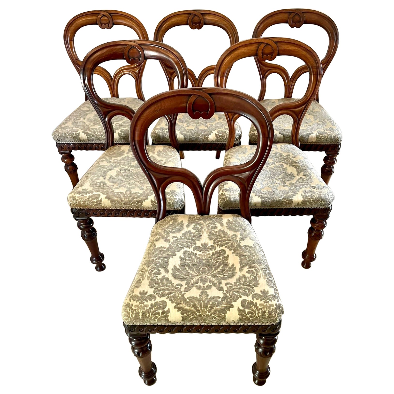 Outstanding Set of 6 Antique Mahogany Scottish Balloon Back Dining Chairs