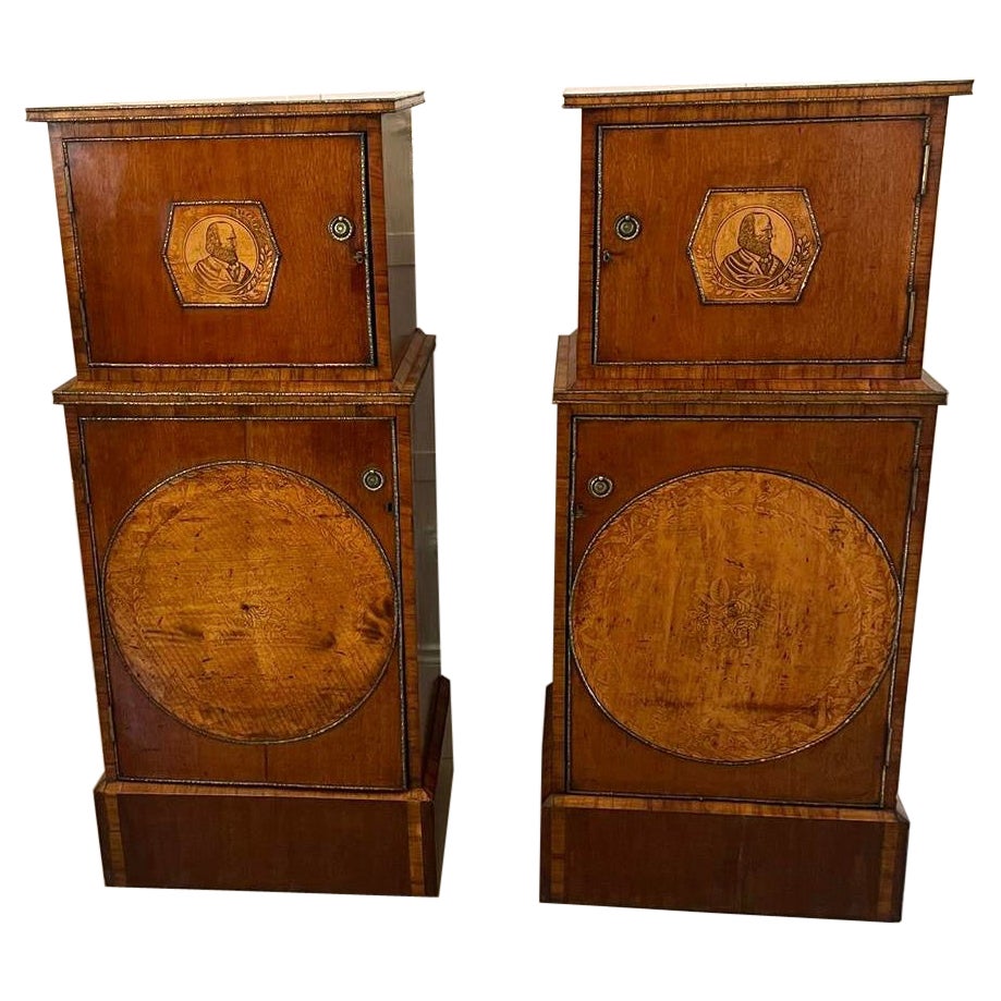 Unusual Pair of Antique George III Inlaid Mahogany and Kingwood Pedestals For Sale