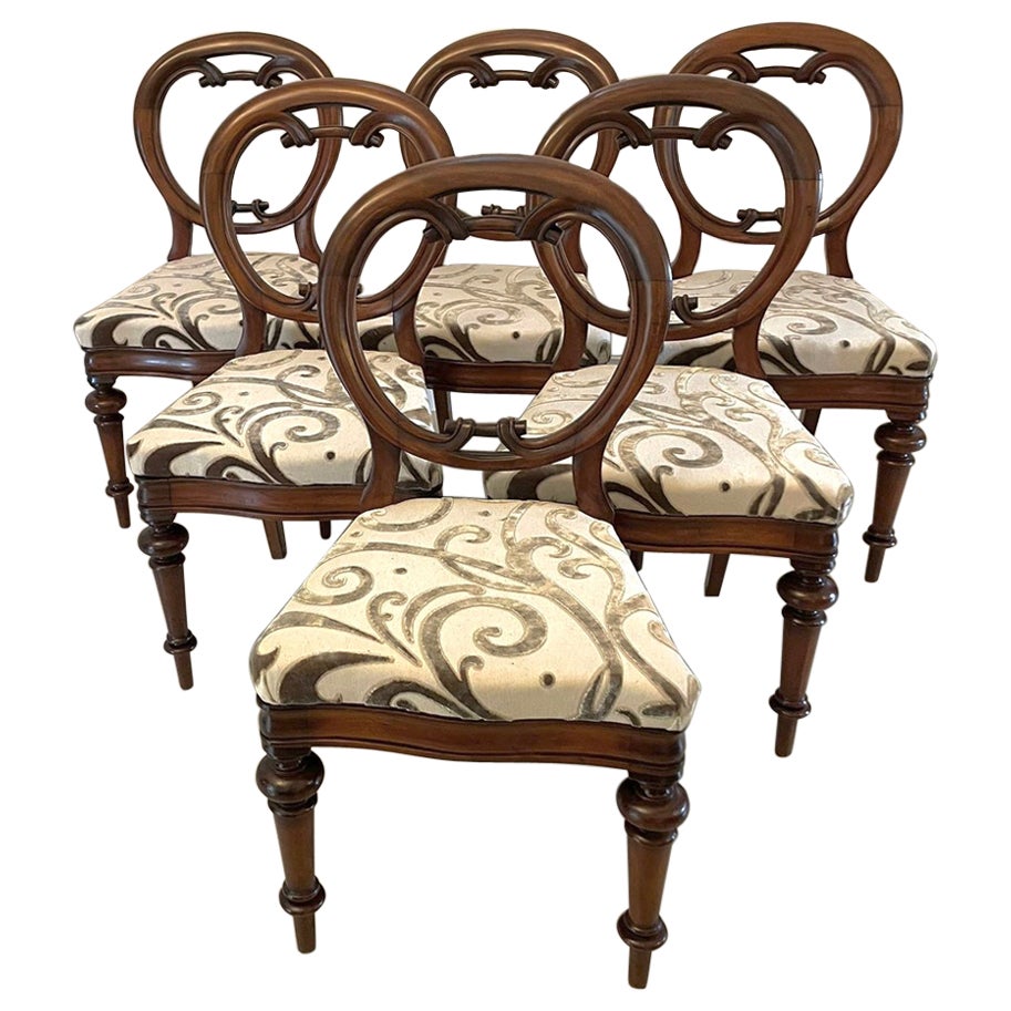 Remarquable ensemble de 6 chaises de salle à manger victoriennes anciennes en acajou à dossier ballon en vente