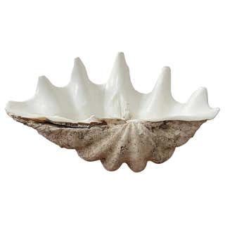 Arthur Court Extra Large Metal Clam Shell For Sale at 1stDibs | extra ...