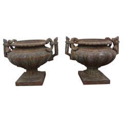 Pair of 19th Century Italian Iron Garden Urns or Jardinieres