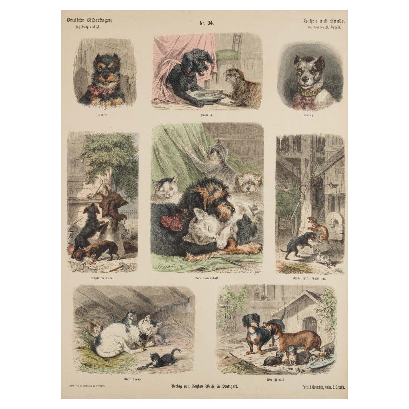 Antique Hand Colored Engraving of Various Cats and Dogs For Sale