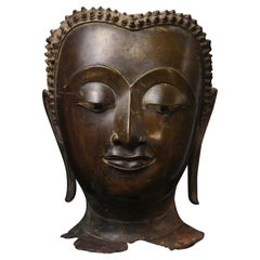 Magnifique tête de Bouddha thaïlandais du 15e siècle, provenant d'une fonderie royale ou de haut niveau. 