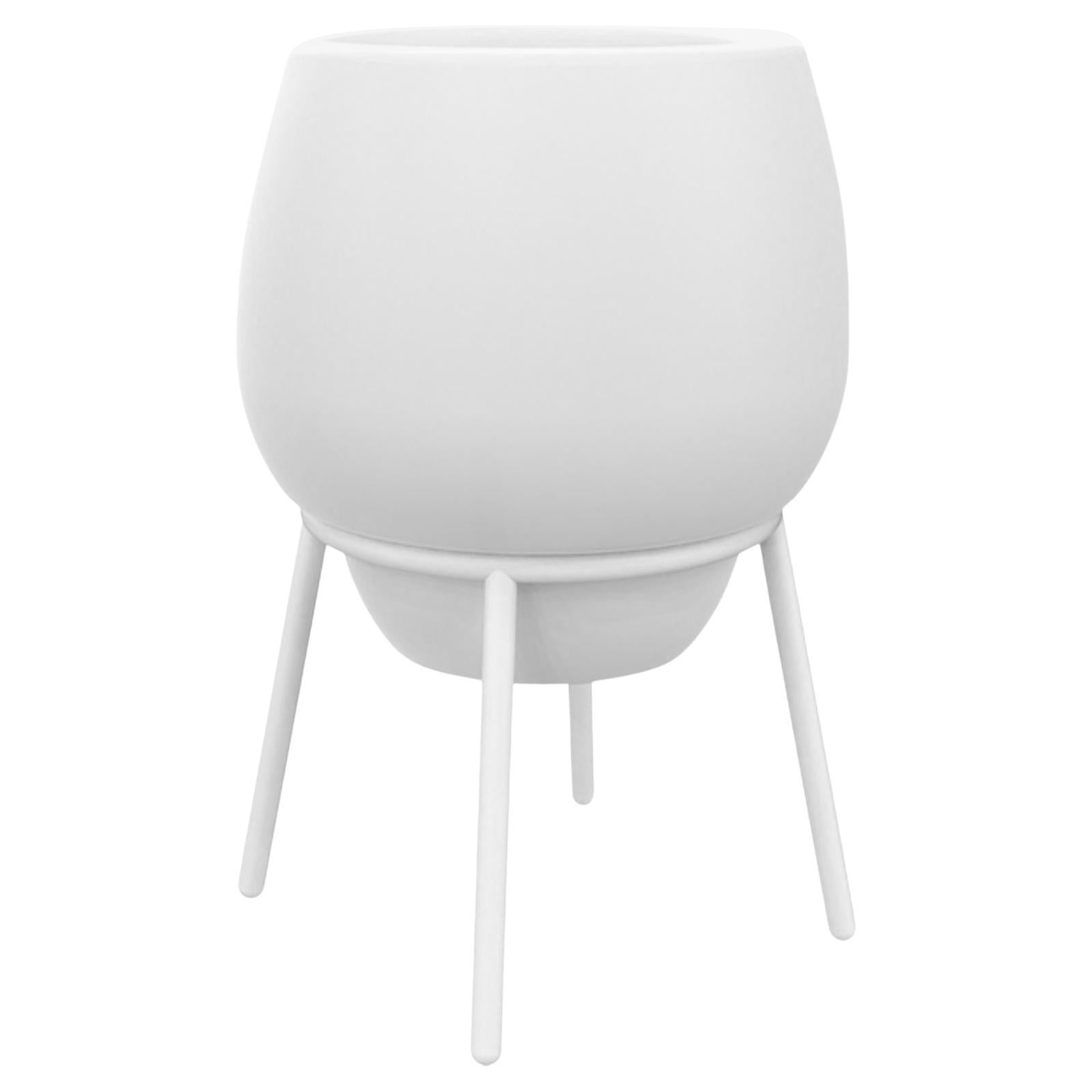 Pizzo bianco 50 vaso basso di Mowee