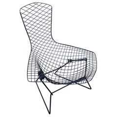 Vintage Black Lounge Chair "Bird Chair" by Harry Bertoia for Knoll Mid Century