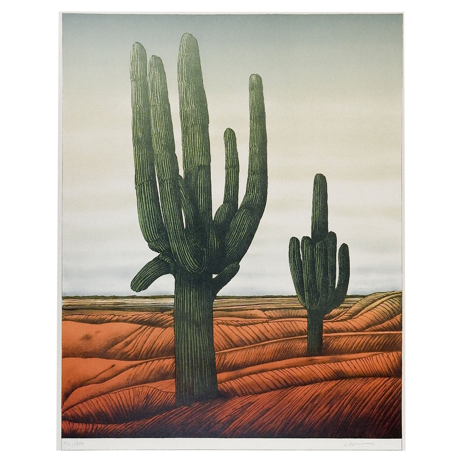 Vintage circa 1970s Adain Le Foll Cactus Lithograph