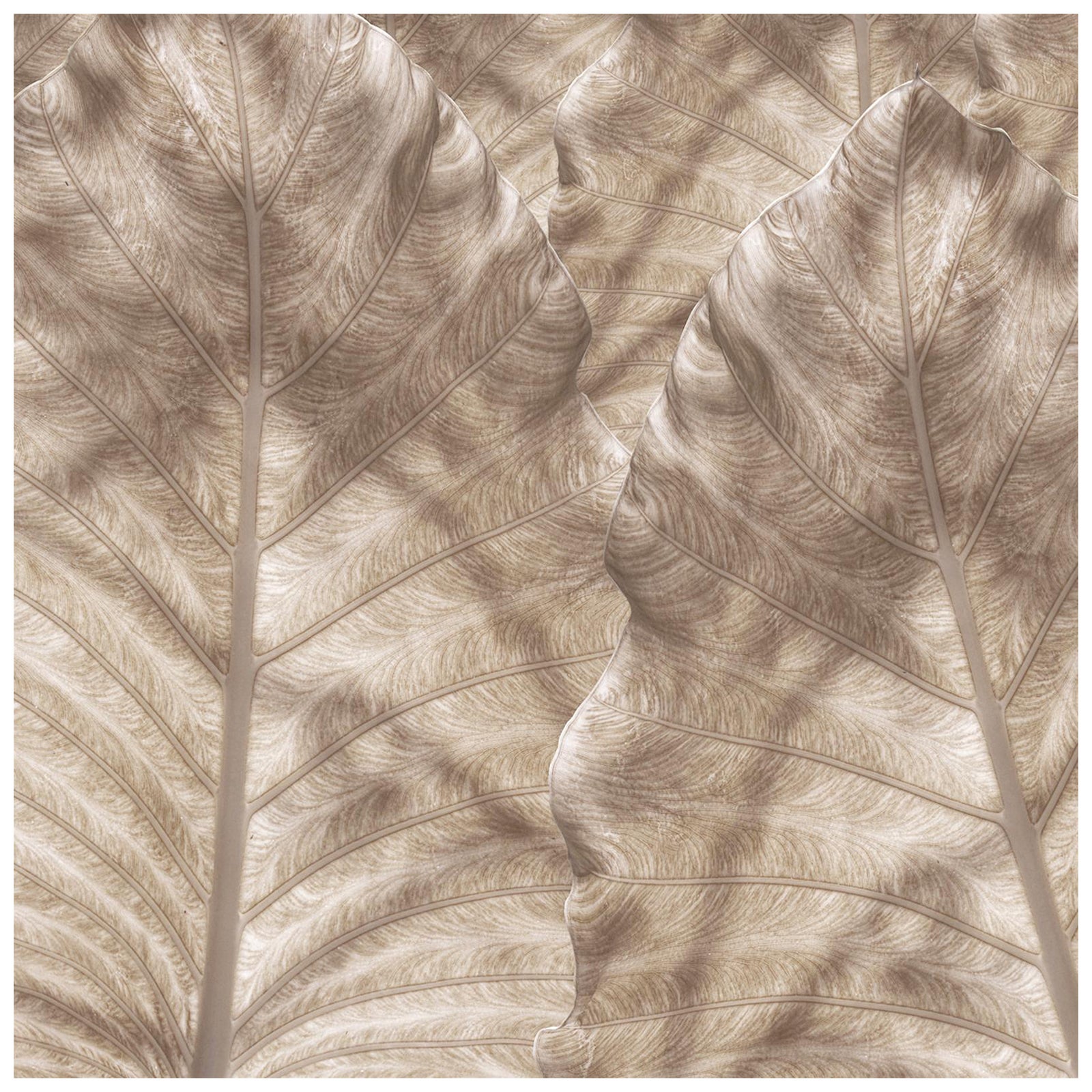 EDGE Collections Shadow Frond Beige from our Tropical Modernism Collection For Sale