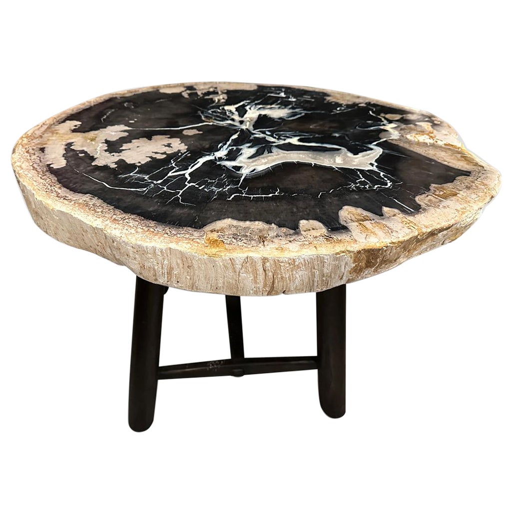 Andrianna Shamaris Beautiful Rare Petrified Wood Side Table For Sale