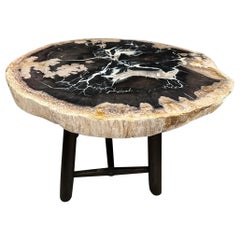 Andrianna Shamaris Beautiful Rare Petrified Wood Side Table