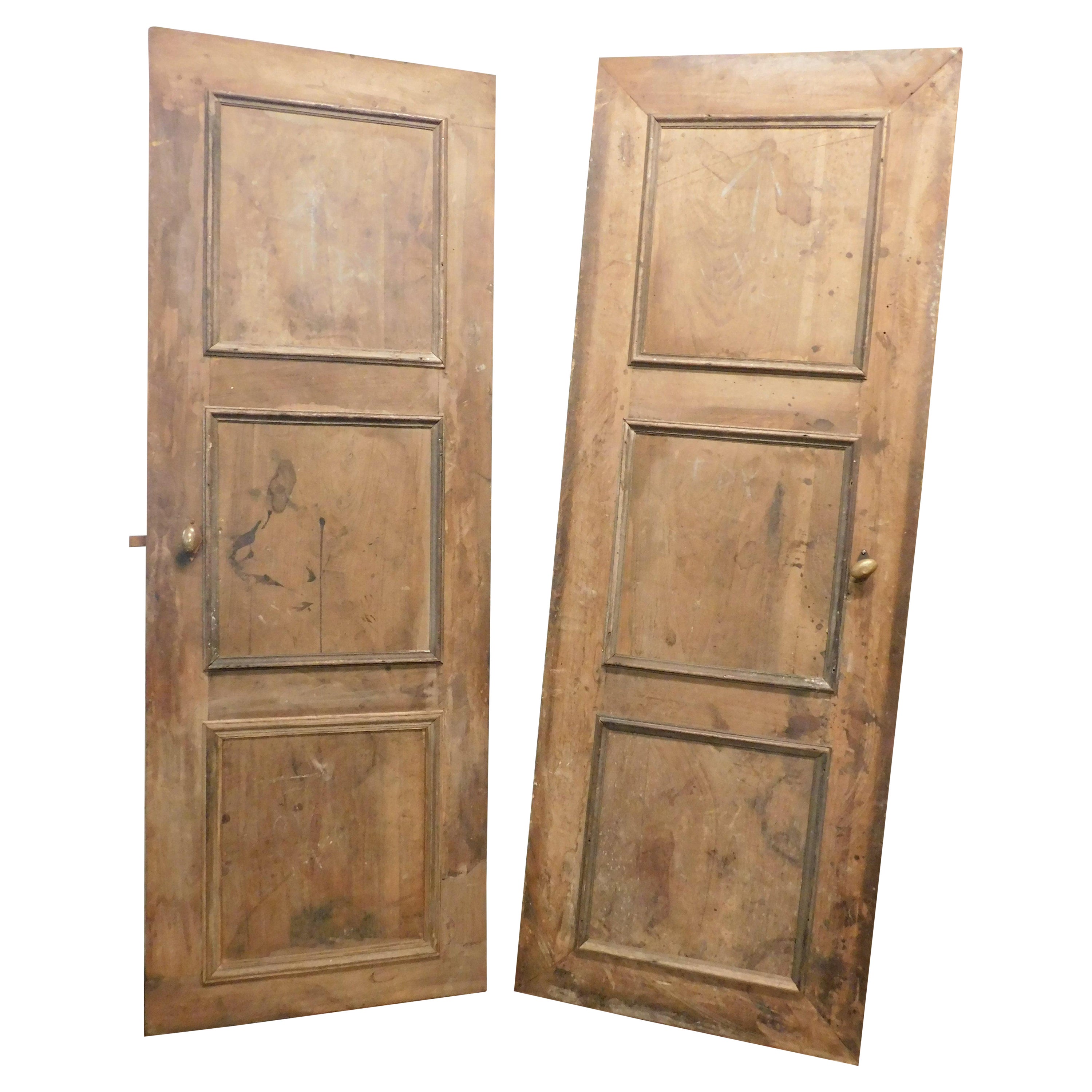 Set of 2 Walnut Wood Paneled Doors, 18th Century Italy For Sale