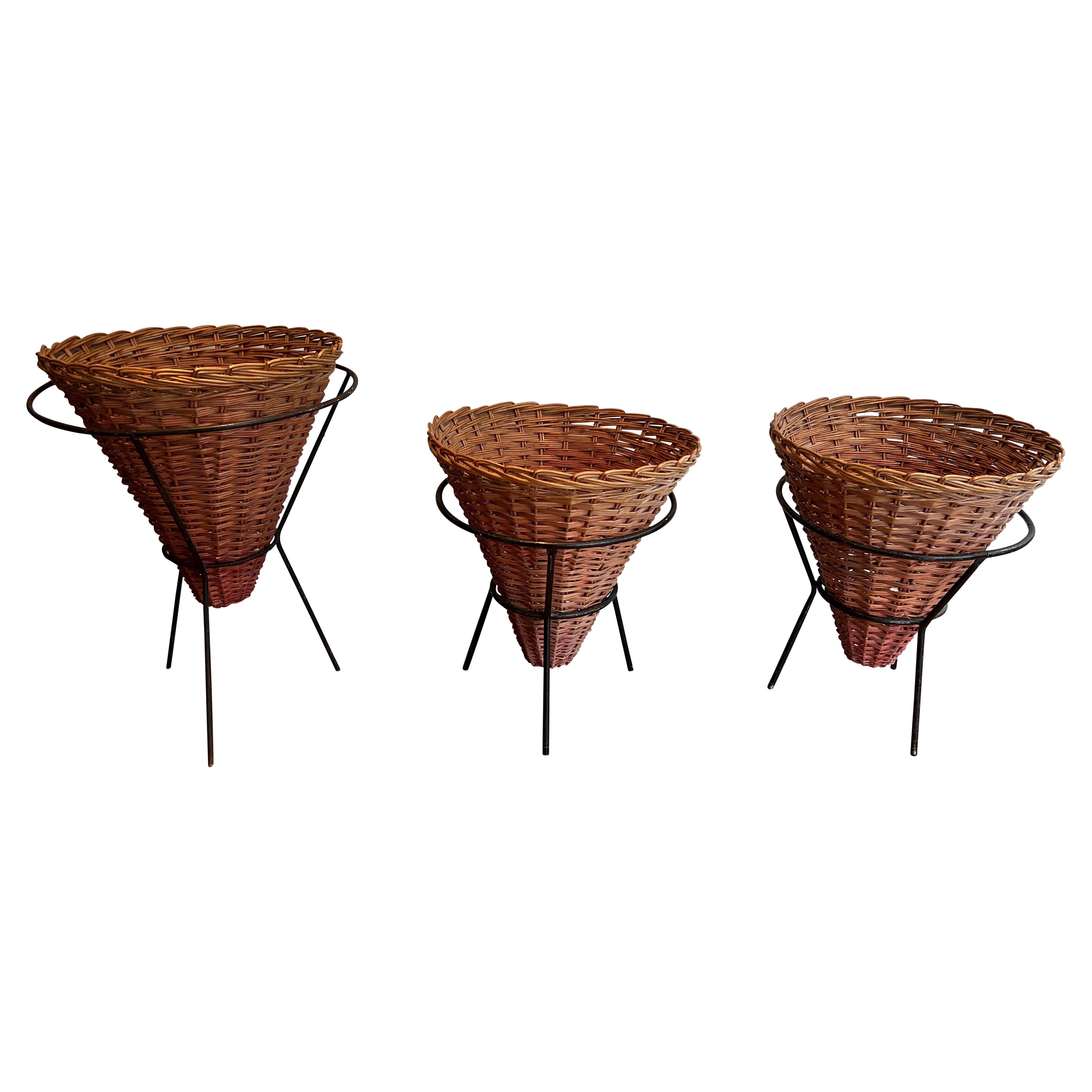 Set of Three Black Lacquered Metal and Rattan Planters, French Work, circa 1950