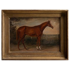 Oil Painting of a Horse, England, circa 1900