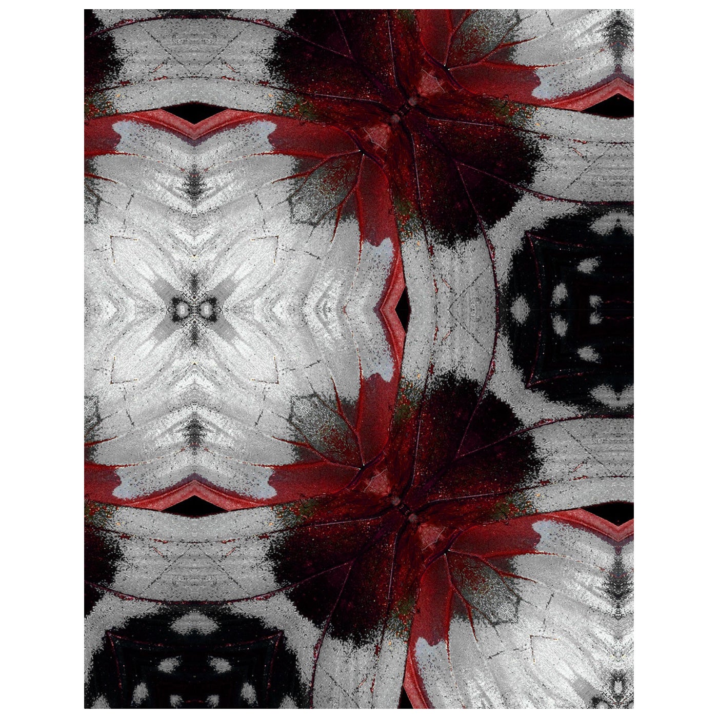 EDGE Kollektionen Blossom Drifter Rouge aus unserer Drifter-Serie 