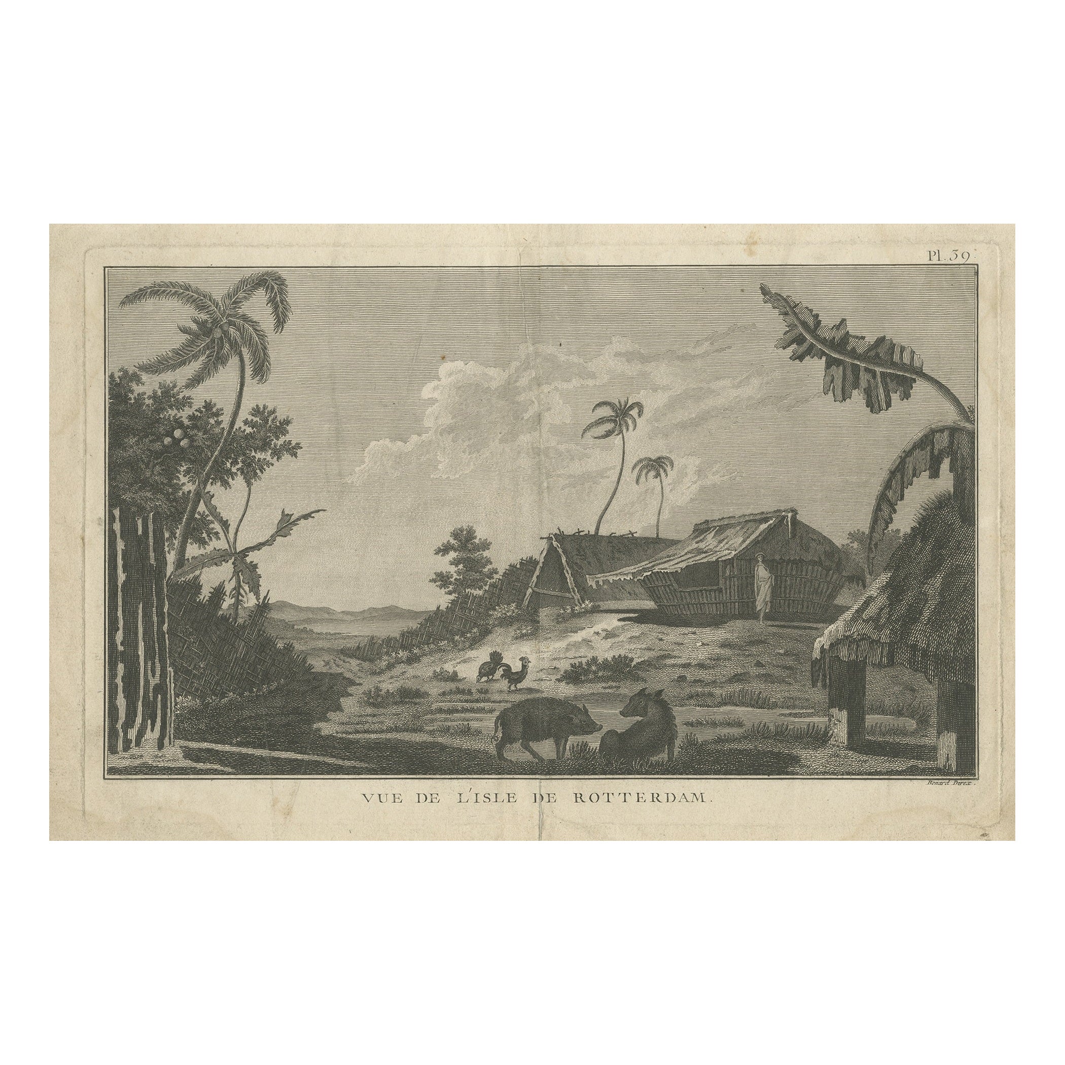 Antique Print of Rotterdam Island, Nomuka, Tonga