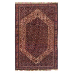 Tapis persan ancien Senneh de 4,3 x 6,8 pieds avec chaînes et traîneaux en soie colorés