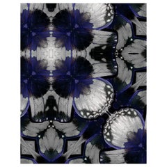 Feng Sui Drifter Indigo from Our Drifter Series by EDGE Collections