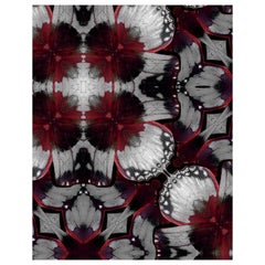 EDGE Collections Feng Sui Drifter Rouge from our Drifter Series 