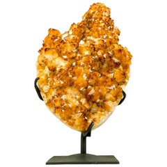 Cluster de citrine orange doré avec grande fleur Stalactite AAA