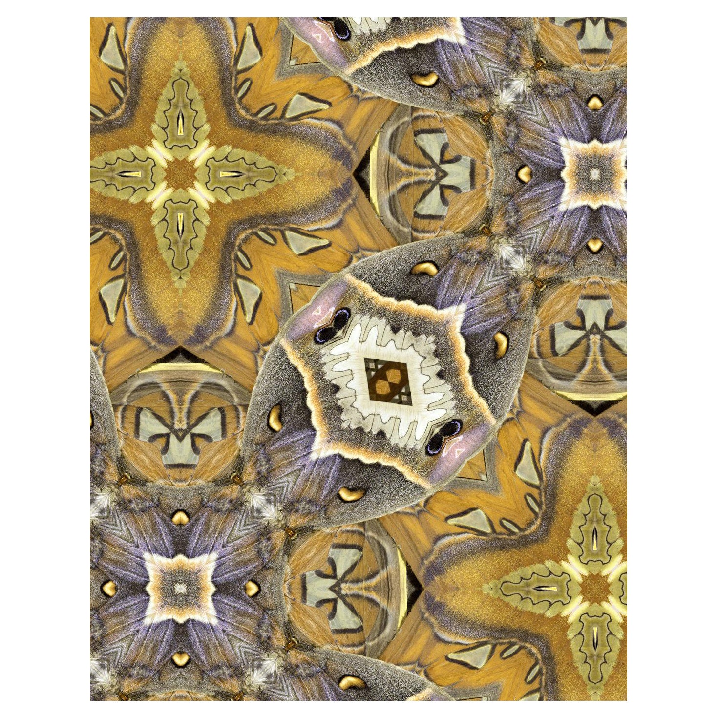  EDGE Collections Drifter Tapestry Mustard from our Drifter Series  For Sale