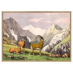 Beautiful Framed Drawing Print of "Mountain"
