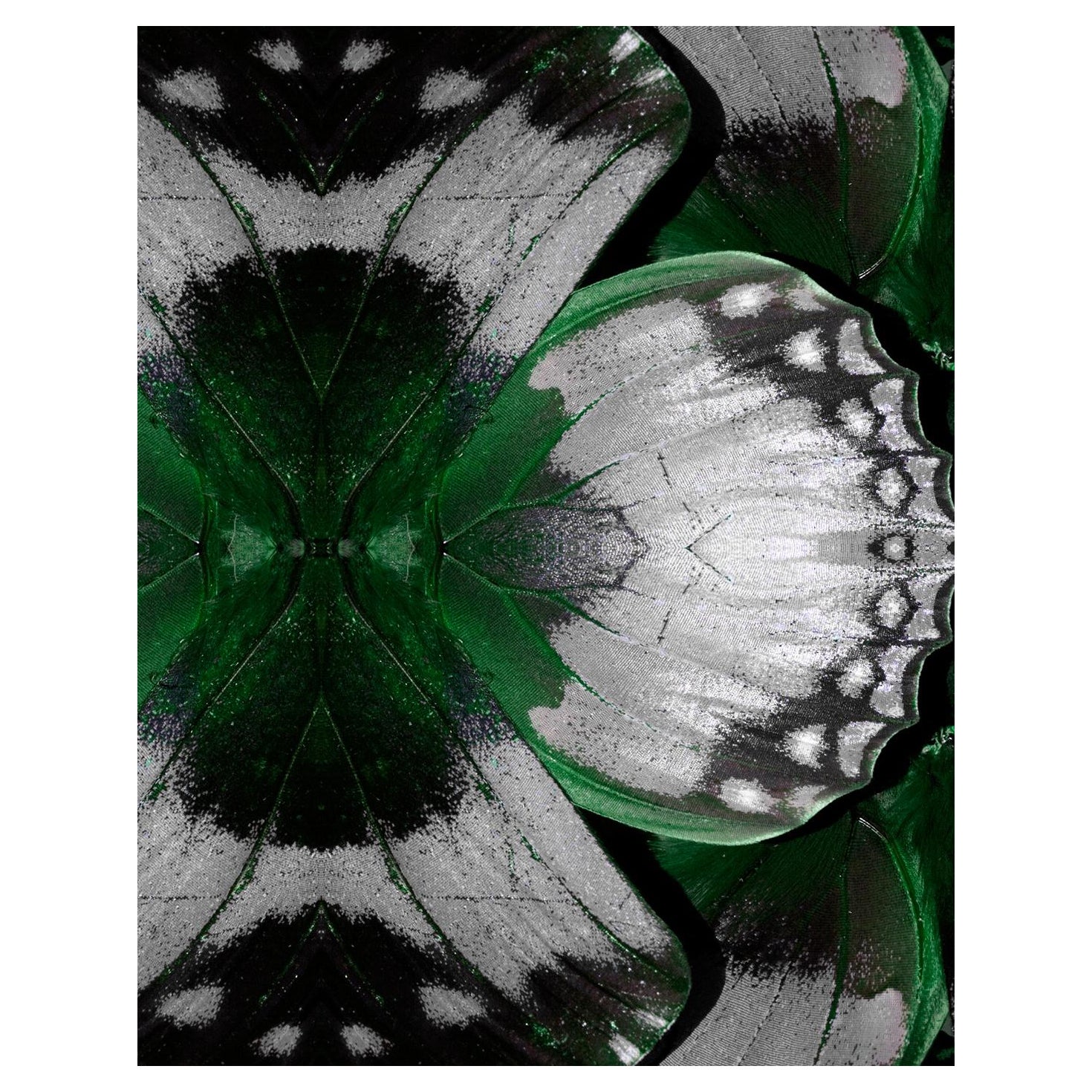 EDGE Kollektionen Tosca Drifter Smaragd aus unserer Drifter-Serie 