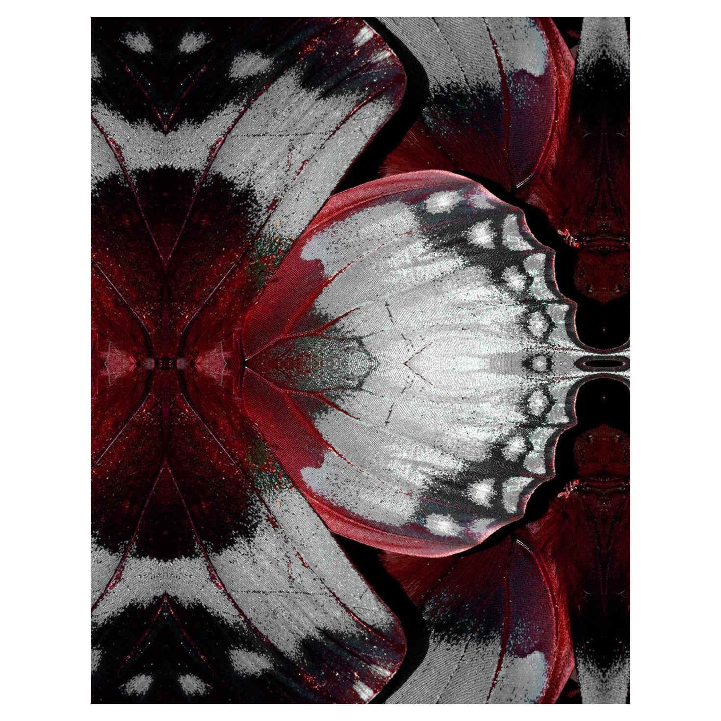 EDGE Kollektionen Tosca Drifter Rouge aus unserer Drifter-Serie 