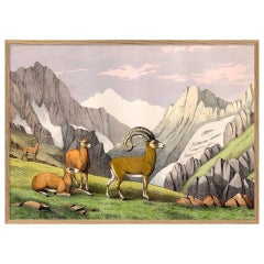 Beautiful Framed Drawing Print of "Mountain"