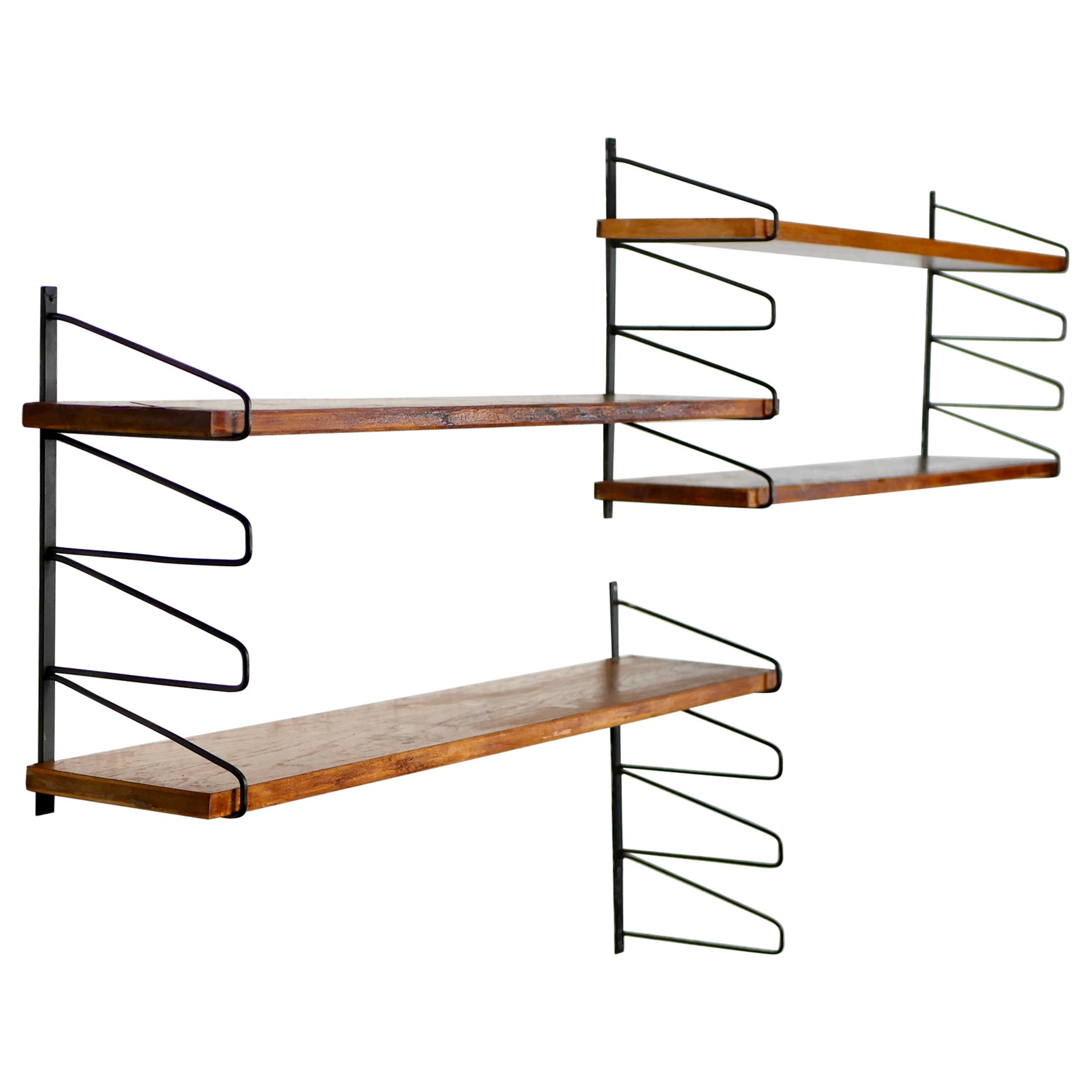 Contemporary Gingko Bookshelf System in Metal and Hardwood For Sale at