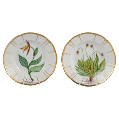 Bing and Grøndahl, Two Deep Porcelain Plates in Flora Danica Style