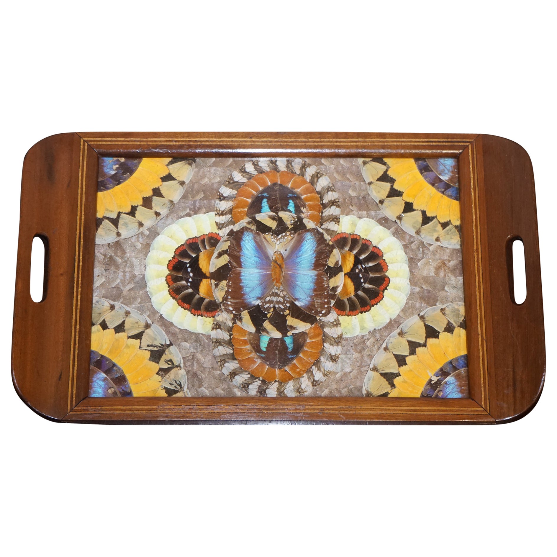 Vintage brasilianischen Intarsien Holz Tablett mit echten Morpho Schmetterlingsflügeln
