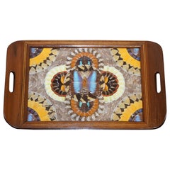 Antique Brazilian Inlaid Wood Tray with Real Morpho Butterfly Wings