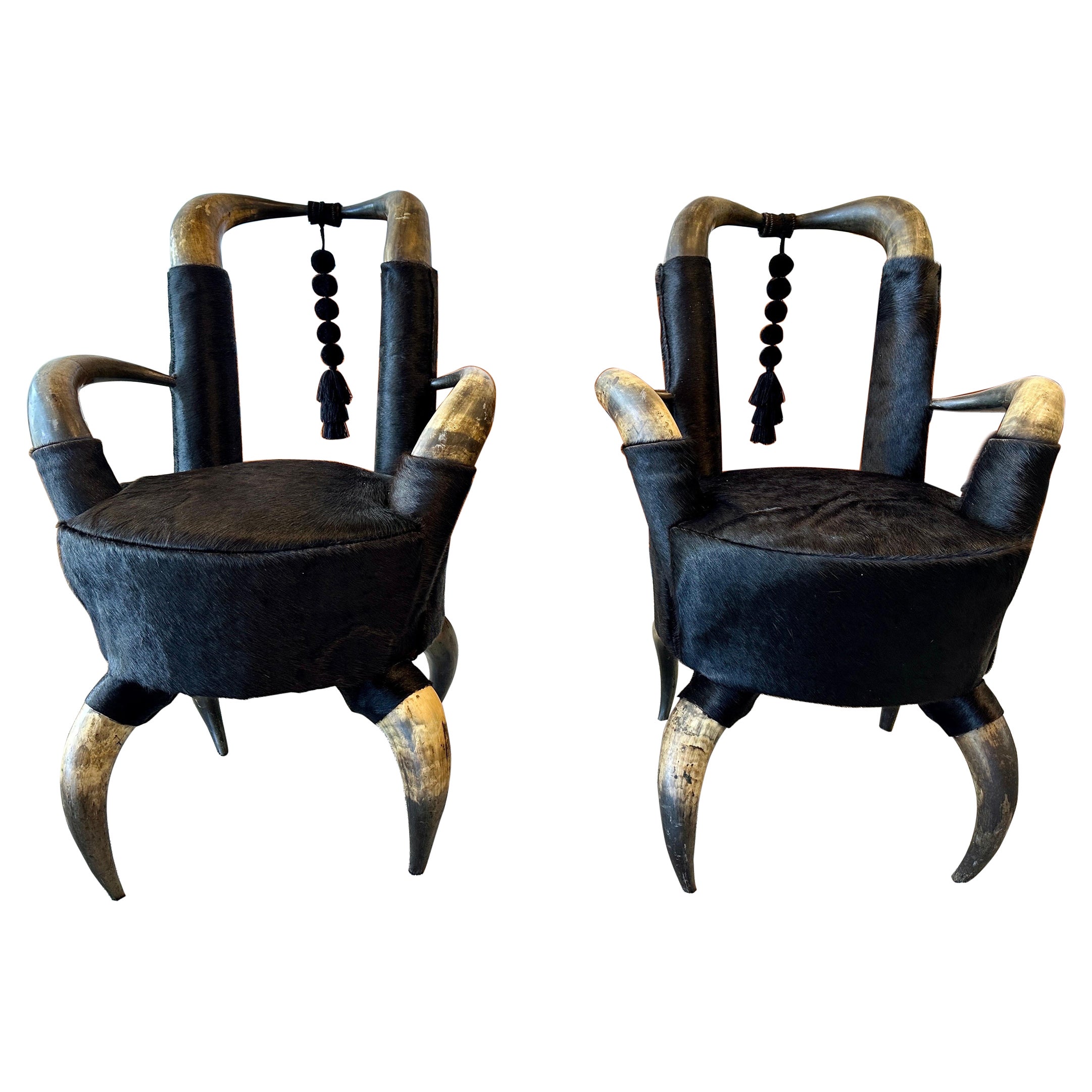 Pair of 19th Century Steer Horn Side Chairs For Sale