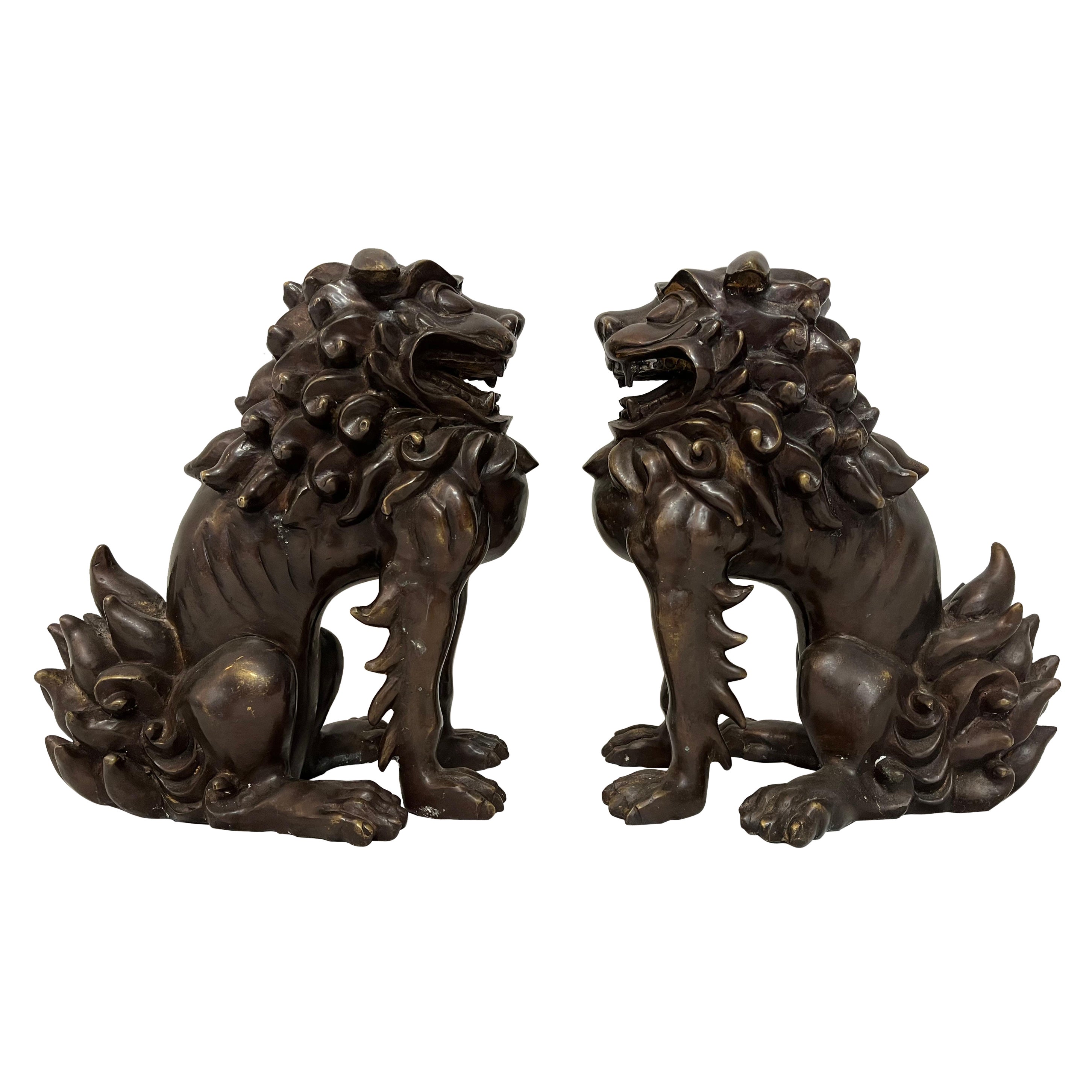 Large Pair of Bronze Lionized Shih Tzus Foo Dogs 20th Century Asian Sculptures For Sale