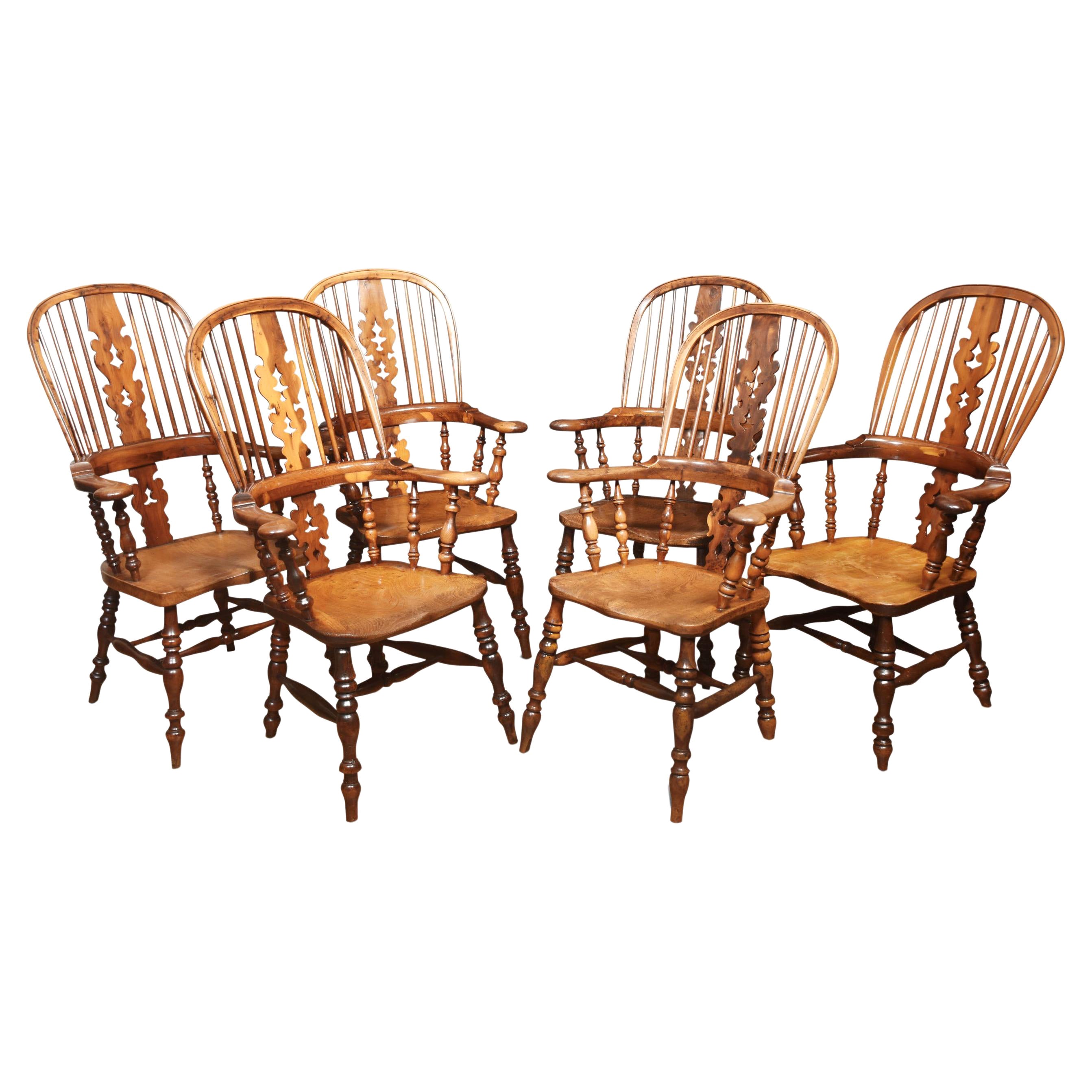 Matched Set of Six 19th Century Yew Wood Windsor Armchairs