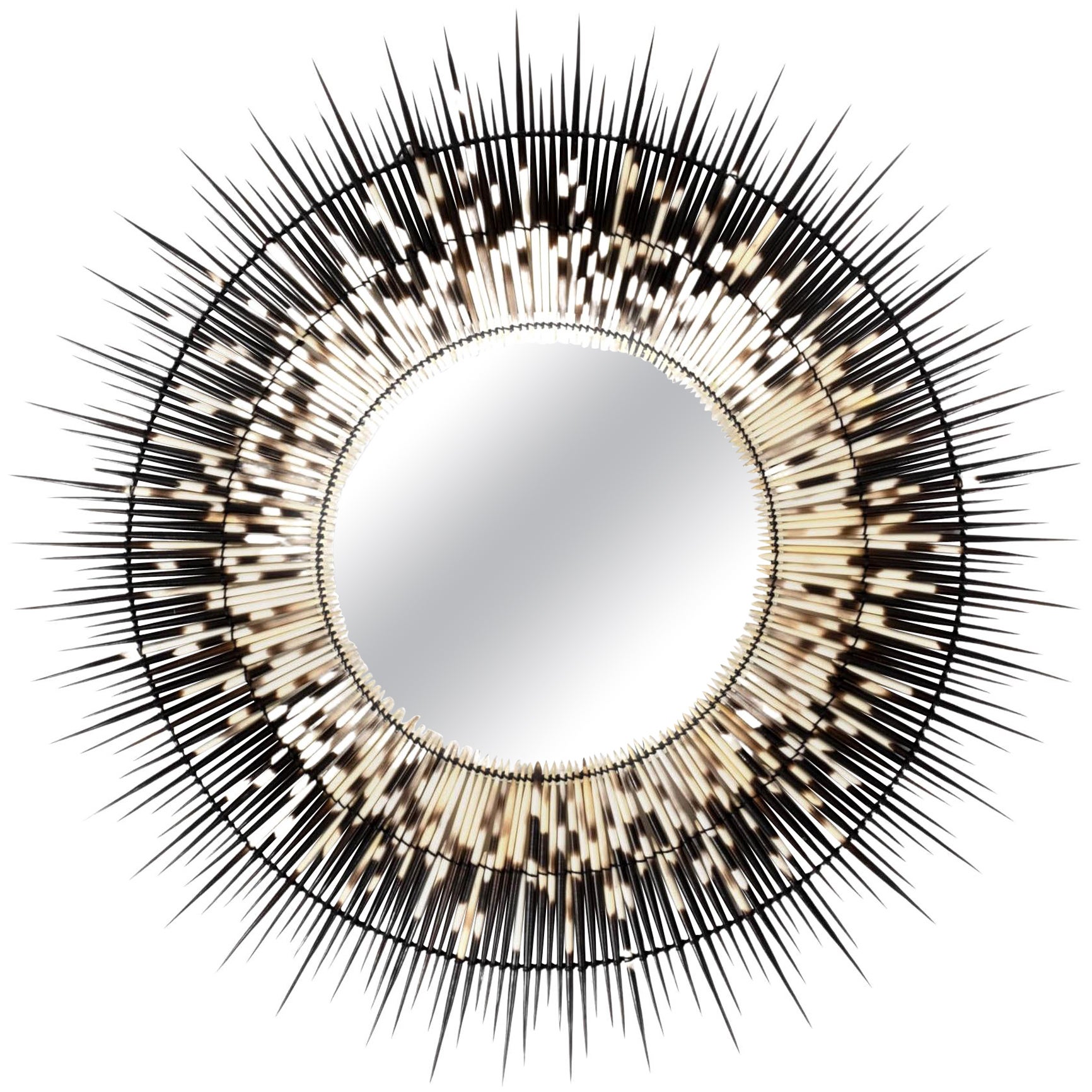 Mirror-Round Small Porcupine Quill For Sale