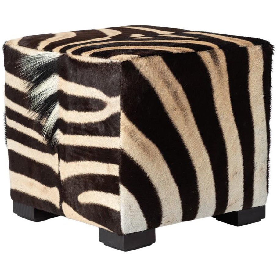 Ottoman-Zebra cube peau de serpent en vente