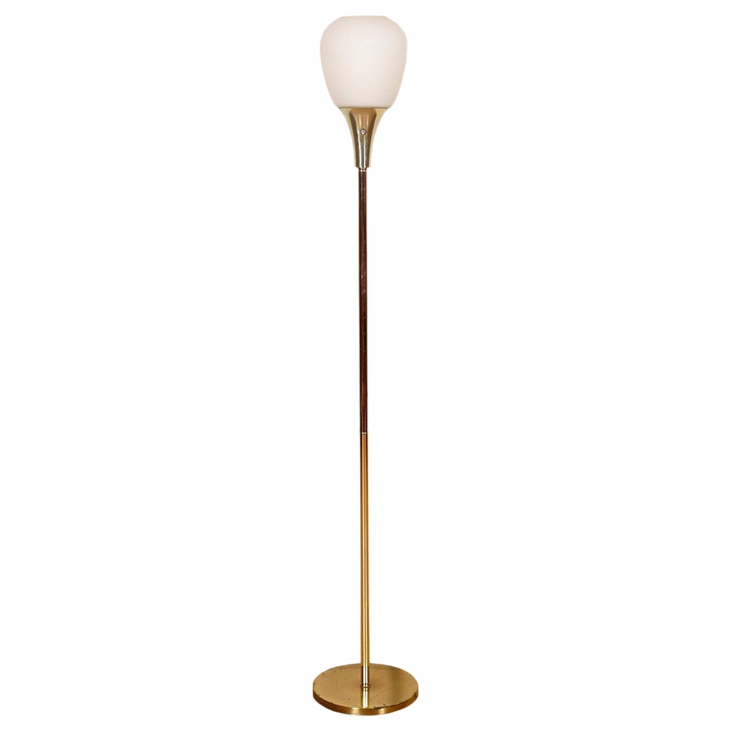 Mid-Century Modern Globe Floor Lamp For Sale
