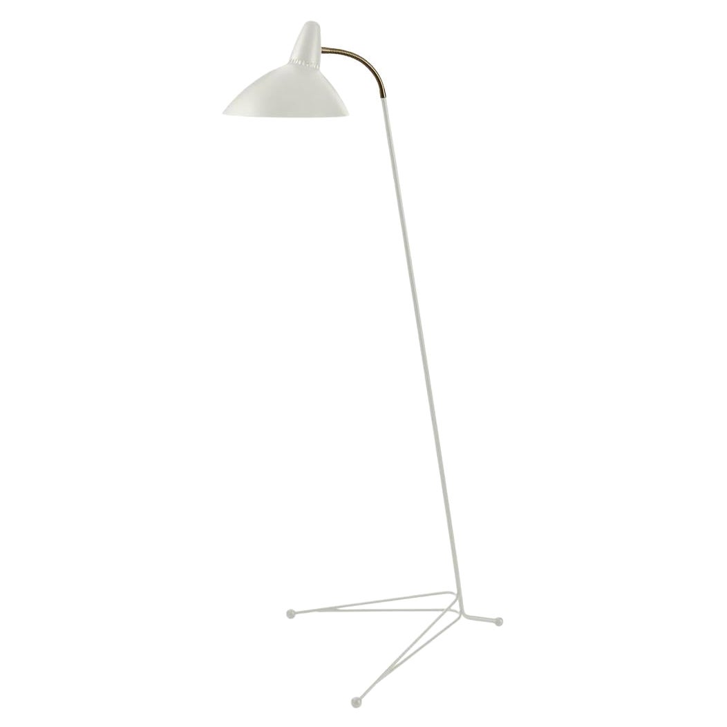 Lightsome Warm White Floor Lamp by Warm Nordic