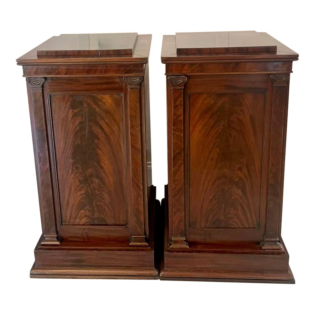 Pair of Antique William IV Quality Figured Mahogany Pedestal Cupboards