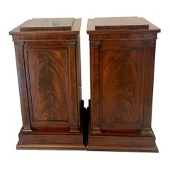 Pair of Antique William IV Quality Figured Mahogany Pedestal Cupboards