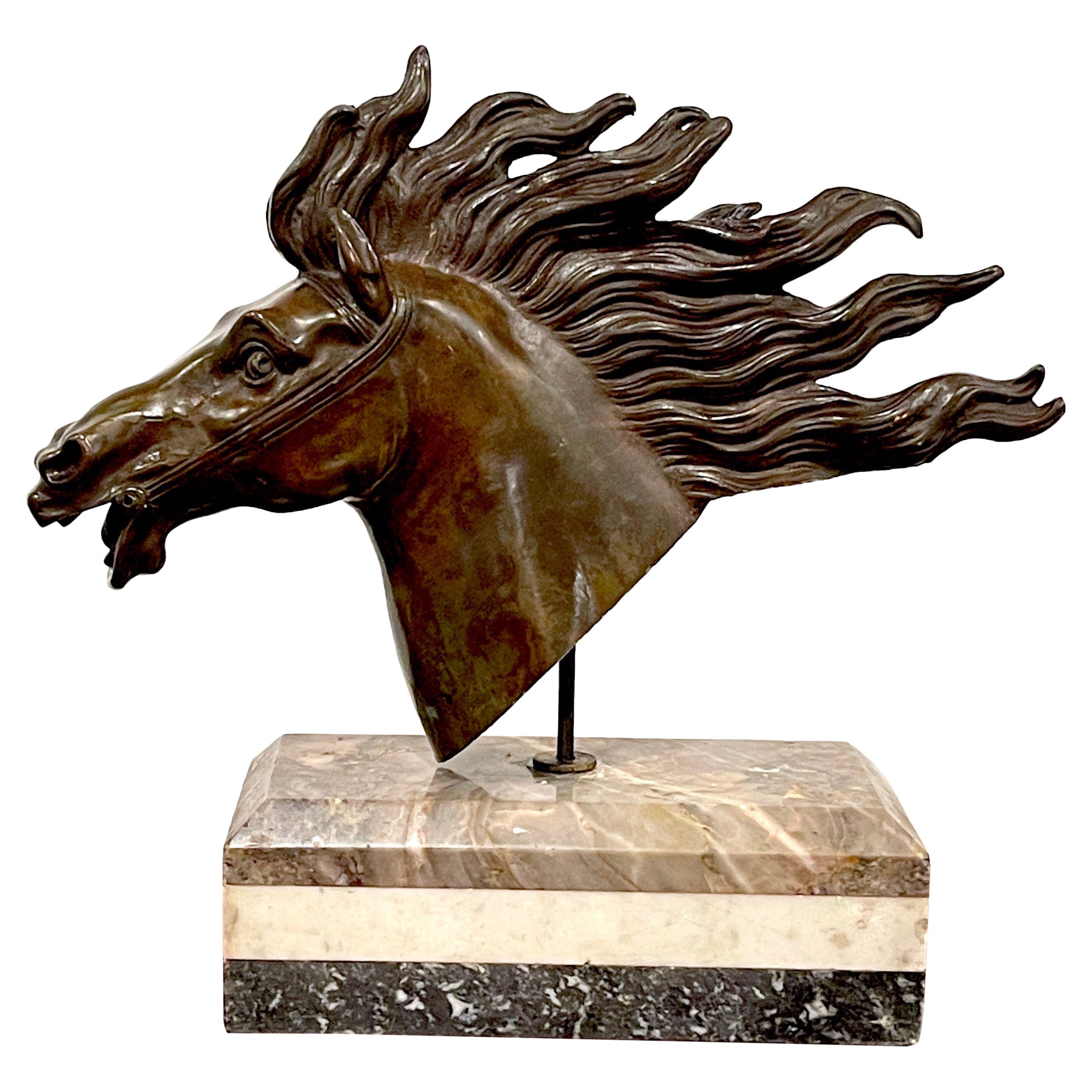 Italian 18th C Grand Tour Roman Bronze  Bust of a Horse, Specimen Marble Base